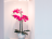 Orchidee